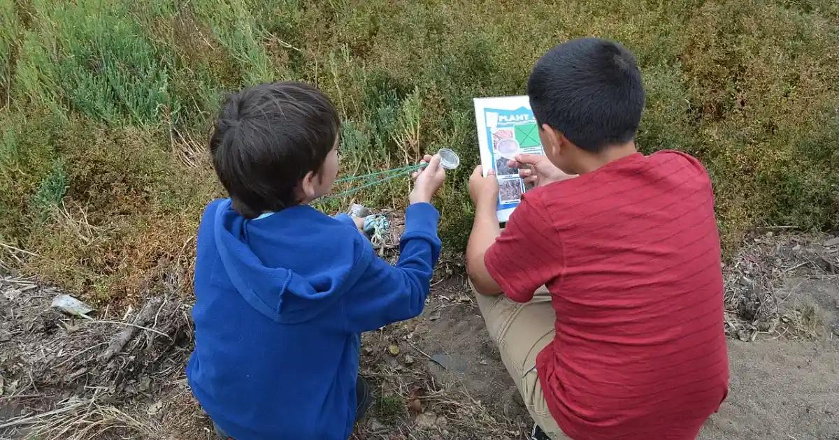 Children playing an educational bingo game outdoors