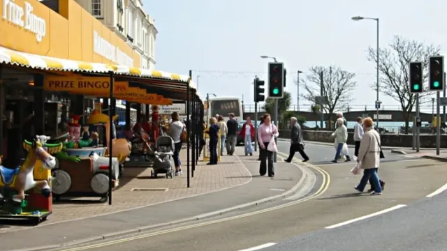 Bingo Daubers at Dollar General: Guide